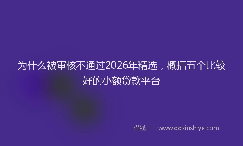 为什么被审核不通过2026年精选，概括五个比较好的小额贷款平台