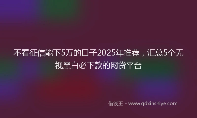 不看征信能下5万的口子2025年推荐，汇总5个无视黑白必下款的网贷平台