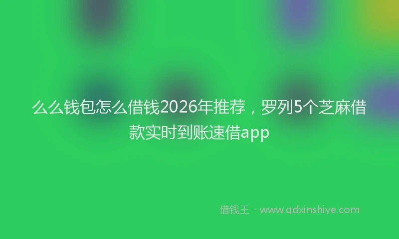 么么钱包怎么借钱2026年推荐，罗列5个芝麻借款实时到账速借app