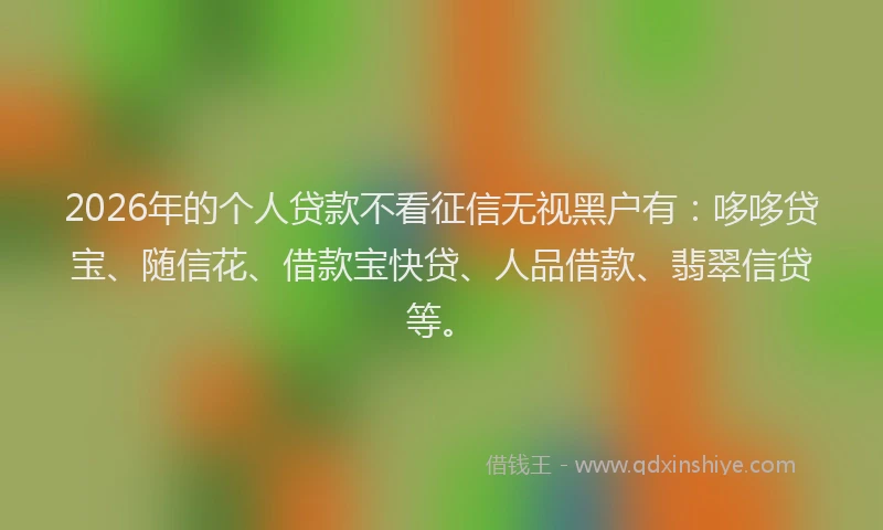 2026年的个人贷款不看征信无视黑户有：哆哆贷宝、随信花、借款宝快贷、人品借款、翡翠信贷等。