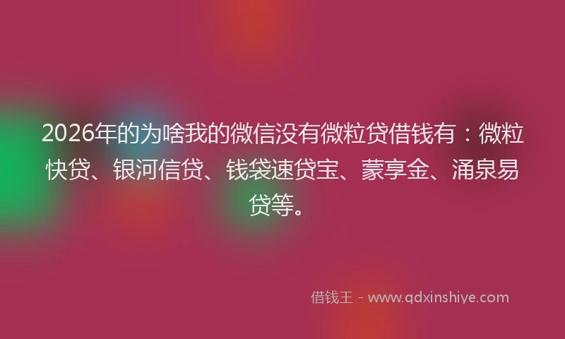 2026年的为啥我的微信没有微粒贷借钱有:微粒快贷、银河信贷、钱袋速贷宝、蒙享金、涌泉易贷等。
