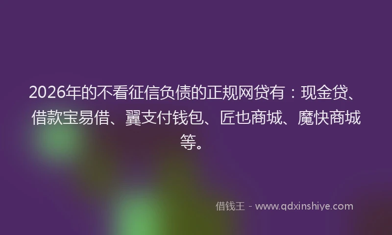 2026年的不看征信负债的正规网贷有:现金贷、借款宝易借、翼支付钱包、匠也商城、魔快商城等。