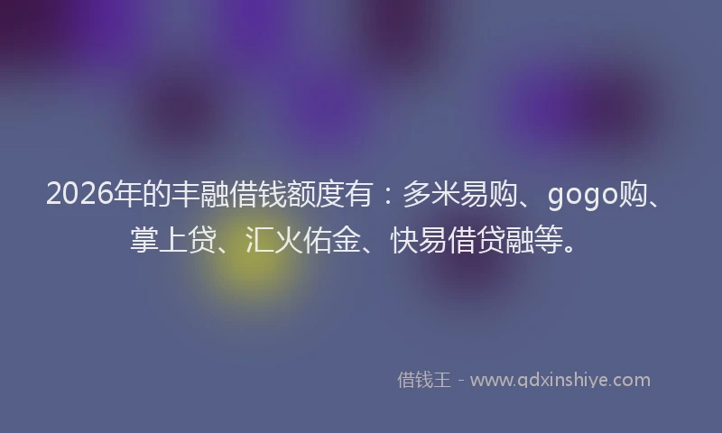 2026年的丰融借钱额度有:多米易购、gogo购、掌上贷、汇火佑金、快易借贷融等。