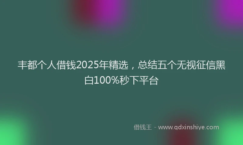 丰都个人借钱2025年精选，总结五个无视征信黑白100%秒下平台