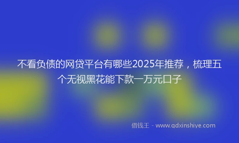 不看负债的网贷平台有哪些2025年推荐，梳理五个无视黑花能下款一万元口子