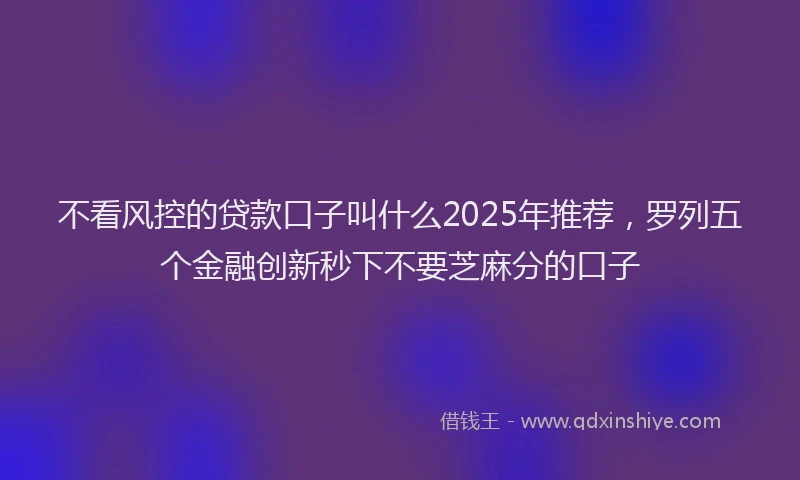 不看风控的贷款口子叫什么2025年推荐,罗列五个金融创新秒下不要芝麻分的口子