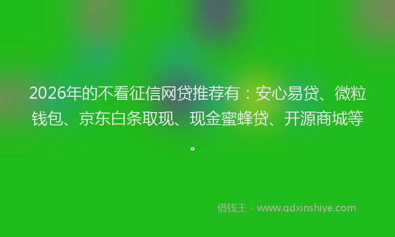2026年的不看征信网贷推荐有：安心易贷、微粒钱包、京东白条取现、现金蜜蜂贷、开源商城等。