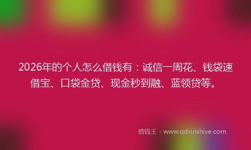 2026年的个人怎么借钱有：诚信一周花、钱袋速借宝、口袋金贷、现金秒到融、蓝领贷等。