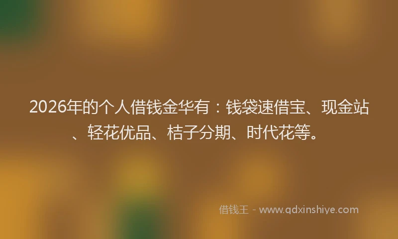 2026年的个人借钱金华有:钱袋速借宝、现金站、轻花优品、桔子分期、时代花等。