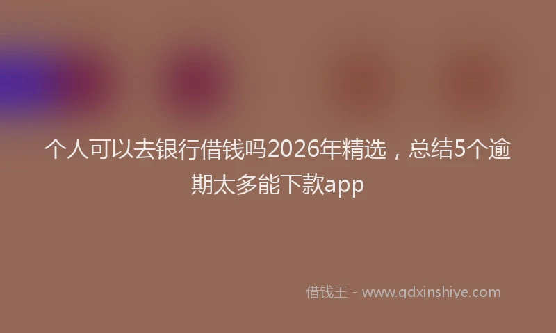 个人可以去银行借钱吗2026年精选，总结5个逾期太多能下款app