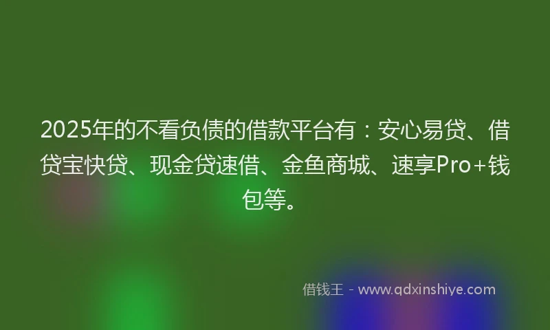2025年的不看负债的借款平台有:安心易贷、借贷宝快贷、现金贷速借、金鱼商城、速享Pro+钱包等。