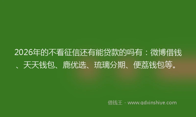 2026年的不看征信还有能贷款的吗有：微博借钱、天天钱包、鹿优选、琉璃分期、便荔钱包等。