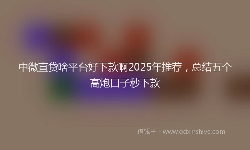 中微直贷啥平台好下款啊2025年推荐，总结五个高炮口子秒下款
