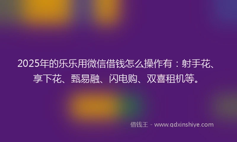 2025年的乐乐用微信借钱怎么操作有：射手花、享下花、甄易融、闪电购、双喜租机等。