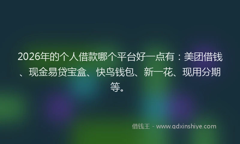 2026年的个人借款哪个平台好一点有：美团借钱、现金易贷宝盒、快鸟钱包、新一花、现用分期等。