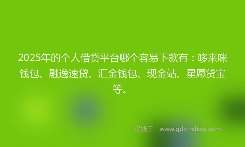 2025年的个人借贷平台哪个容易下款有：哆来咪钱包、融逸速贷、汇金钱包、现金站、星愿贷宝等。