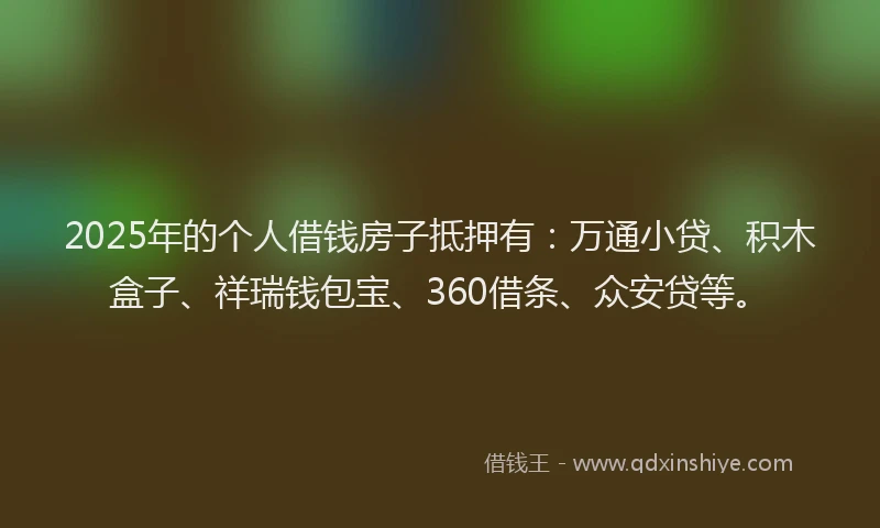 2025年的个人借钱房子抵押有：万通小贷、积木盒子、祥瑞钱包宝、360借条、众安贷等。