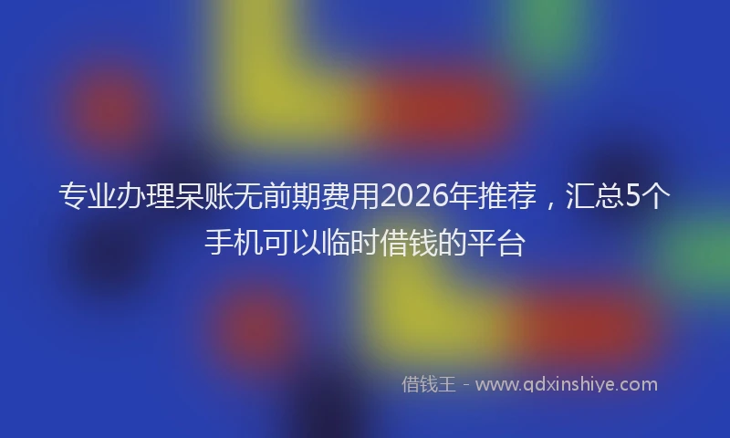 专业办理呆账无前期费用2026年推荐，汇总5个手机可以临时借钱的平台