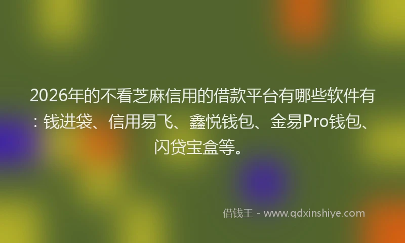 2026年的不看芝麻信用的借款平台有哪些软件有：钱进袋、信用易飞、鑫悦钱包、金易Pro钱包、闪贷宝盒等。