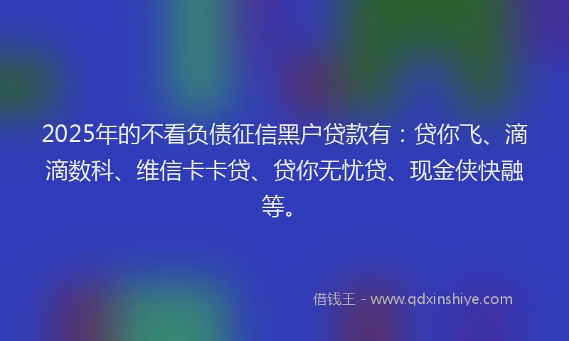 2025年的不看负债征信黑户贷款有：贷你飞、滴滴数科、维信卡卡贷、贷你无忧贷、现金侠快融等。