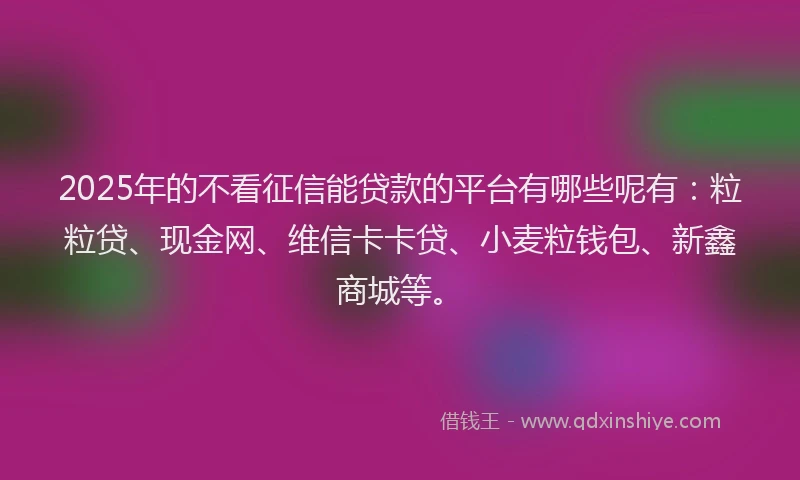 2025年的不看征信能贷款的平台有哪些呢有：粒粒贷、现金网、维信卡卡贷、小麦粒钱包、新鑫商城等。
