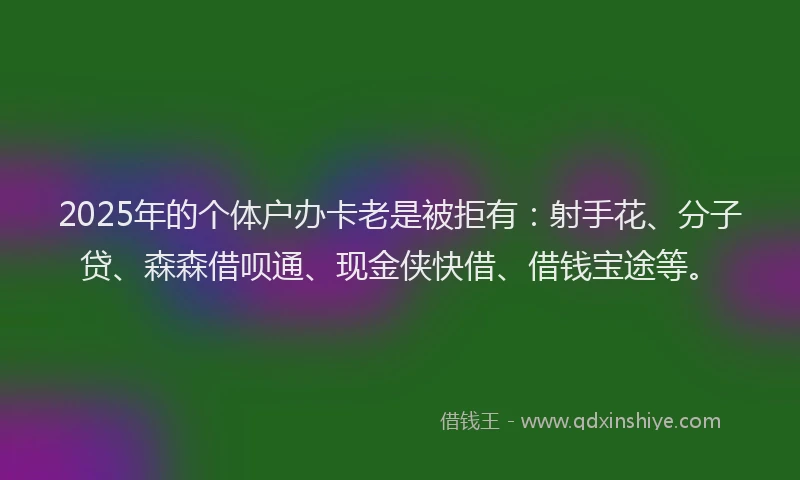 2025年的个体户办卡老是被拒有:射手花、分子贷、森森借呗通、现金侠快借、借钱宝途等。