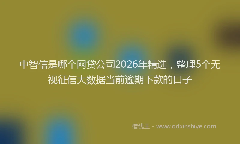 中智信是哪个网贷公司2026年精选，整理5个无视征信大数据当前逾期下款的口子