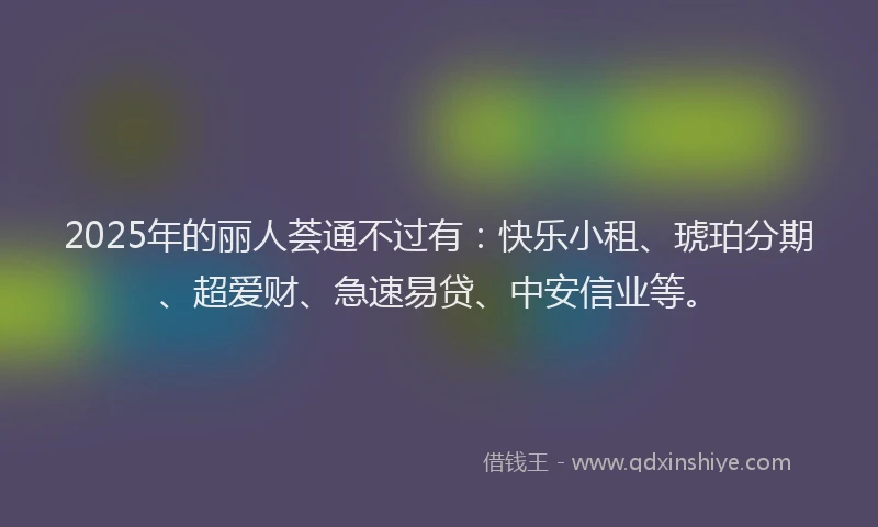 2025年的丽人荟通不过有：快乐小租、琥珀分期、超爱财、急速易贷、中安信业等。