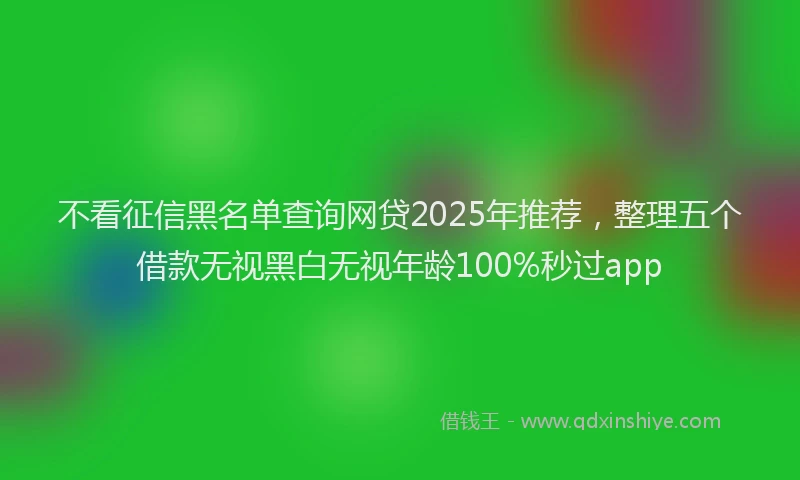 不看征信黑名单查询网贷2025年推荐，整理五个借款无视黑白无视年龄100%秒过app