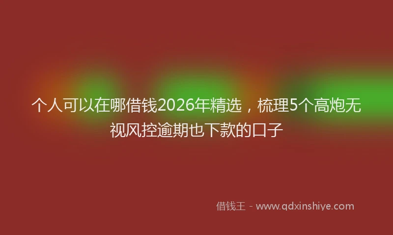 个人可以在哪借钱2026年精选，梳理5个高炮无视风控逾期也下款的口子