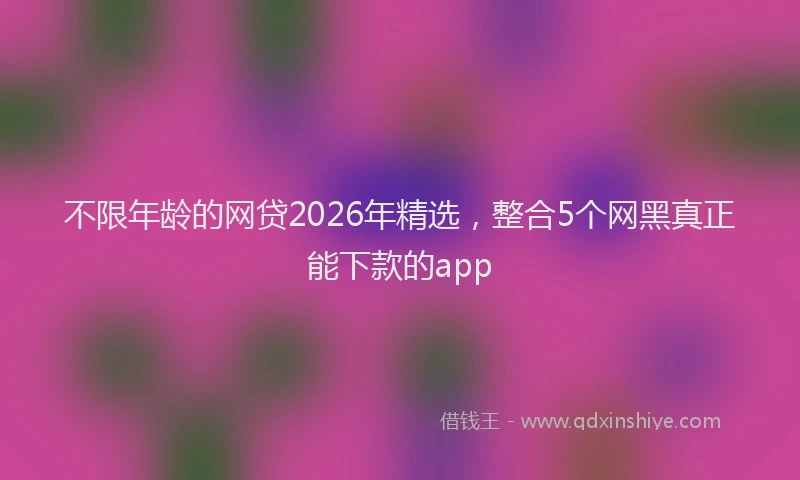 不限年龄的网贷2026年精选，整合5个网黑真正能下款的app