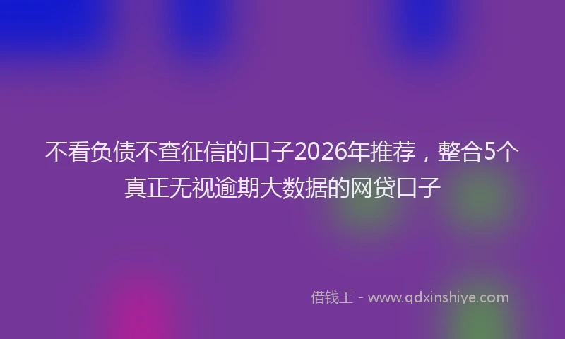 不看负债不查征信的口子2026年推荐，整合5个真正无视逾期大数据的网贷口子