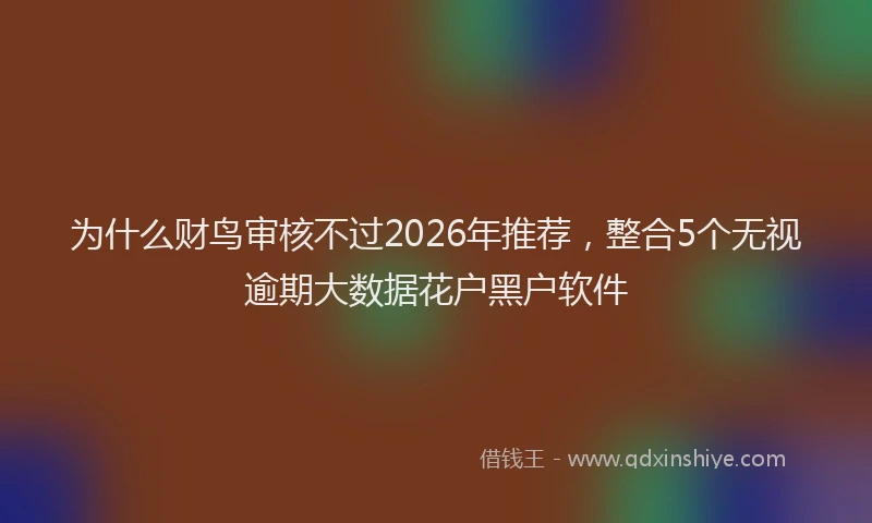 为什么财鸟审核不过2026年推荐，整合5个无视逾期大数据花户黑户软件