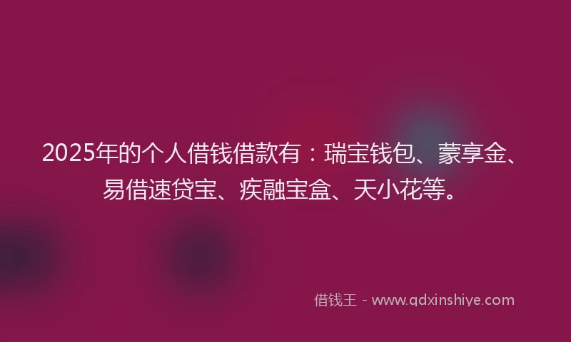 2025年的个人借钱借款有：瑞宝钱包、蒙享金、易借速贷宝、疾融宝盒、天小花等。