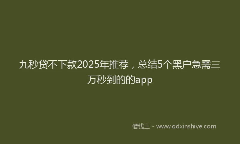 九秒贷不下款2025年推荐,总结5个黑户急需三万秒到的的app