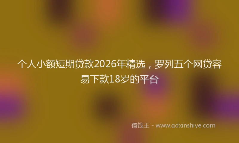 个人小额短期贷款2026年精选，罗列五个网贷容易下款18岁的平台
