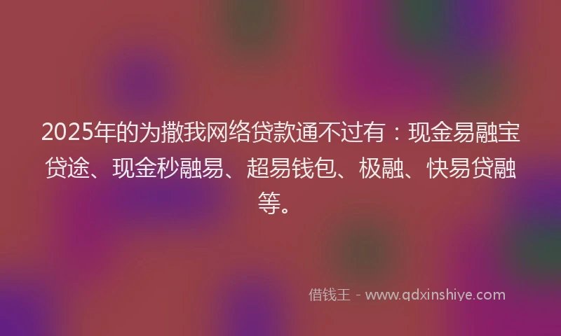 2025年的为撒我网络贷款通不过有:现金易融宝贷途、现金秒融易、超易钱包、极融、快易贷融等。