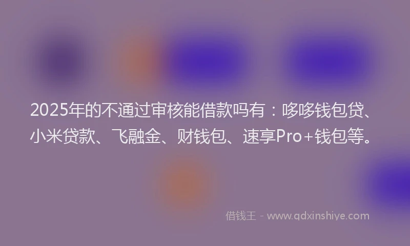 2025年的不通过审核能借款吗有：哆哆钱包贷、小米贷款、飞融金、财钱包、速享Pro+钱包等。