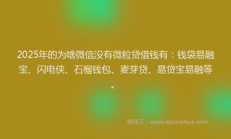 2025年的为啥微信没有微粒贷借钱有:钱袋易融宝、闪电侠、石榴钱包、麦芽贷、易贷宝易融等。