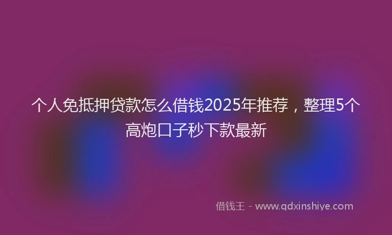 个人免抵押贷款怎么借钱2025年推荐，整理5个高炮口子秒下款最新