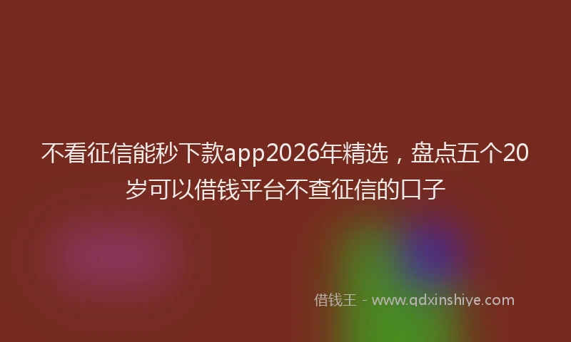 不看征信能秒下款app2026年精选，盘点五个20岁可以借钱平台不查征信的口子