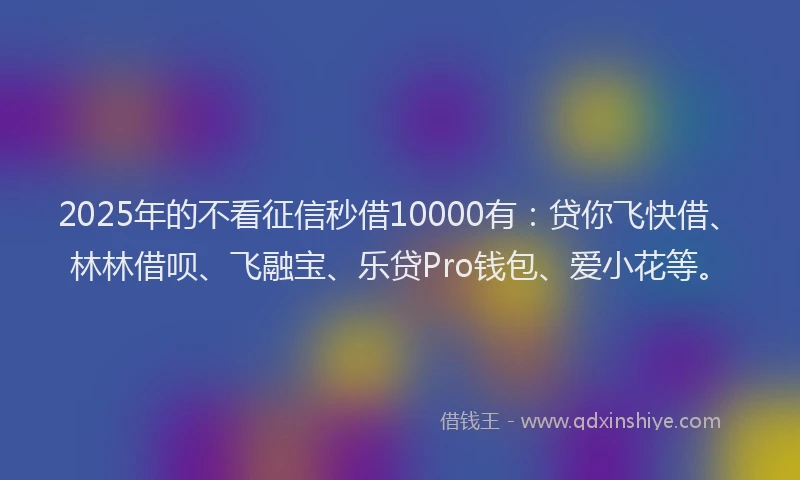 2025年的不看征信秒借10000有：贷你飞快借、林林借呗、飞融宝、乐贷Pro钱包、爱小花等。