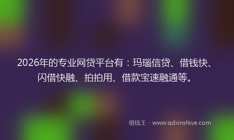 2026年的专业网贷平台有:玛瑙信贷、借钱快、闪借快融、拍拍用、借款宝速融通等。