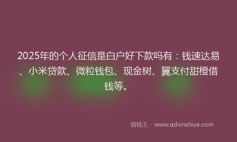 2025年的个人征信是白户好下款吗有：钱速达易、小米贷款、微粒钱包、现金树、翼支付甜橙借钱等。
