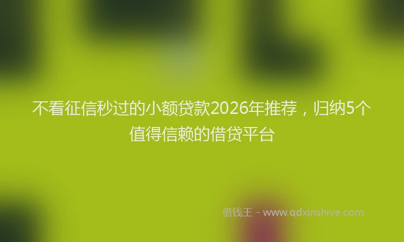 不看征信秒过的小额贷款2026年推荐，归纳5个值得信赖的借贷平台