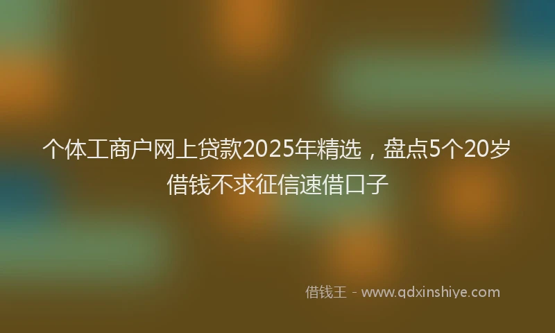 个体工商户网上贷款2025年精选，盘点5个20岁借钱不求征信速借口子