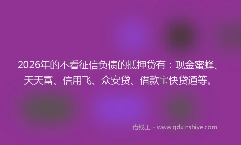 2026年的不看征信负债的抵押贷有:现金蜜蜂、天天富、信用飞、众安贷、借款宝快贷通等。