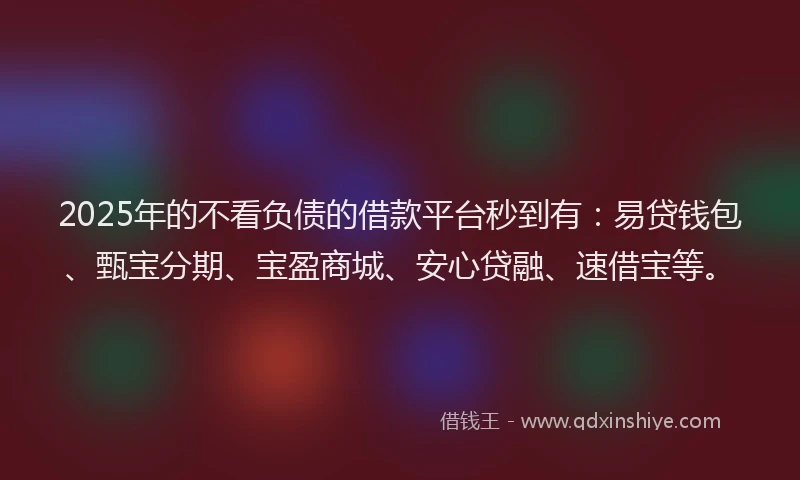2025年的不看负债的借款平台秒到有：易贷钱包、甄宝分期、宝盈商城、安心贷融、速借宝等。