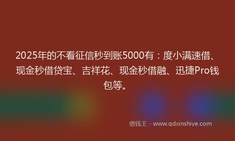 2025年的不看征信秒到账5000有：度小满速借、现金秒借贷宝、吉祥花、现金秒借融、迅捷Pro钱包等。