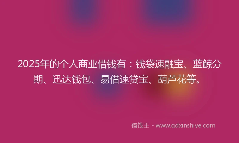 2025年的个人商业借钱有：钱袋速融宝、蓝鲸分期、迅达钱包、易借速贷宝、葫芦花等。